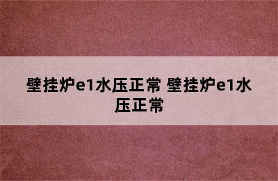 壁挂炉e1水压正常 壁挂炉e1水压正常